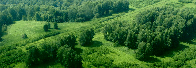 Инвестицииtrregions431102tr