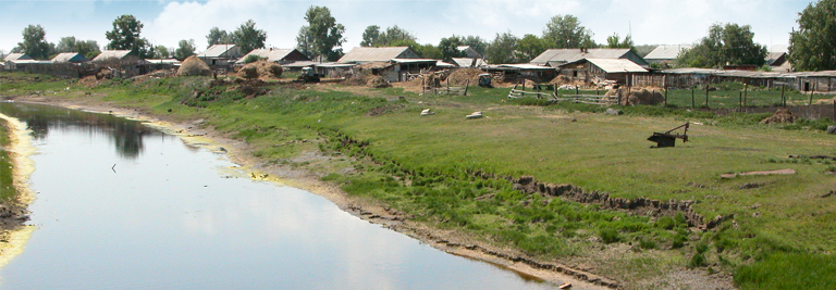 Каргатскийtrregions56tr